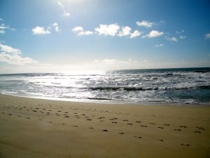 Expanding Your Swimming Horizons Safely: Guidelines for Enjoying Natural Bodies of Water