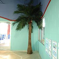 Swimtastic Palm Tree Shower Swimtastic Palm Tree Shower