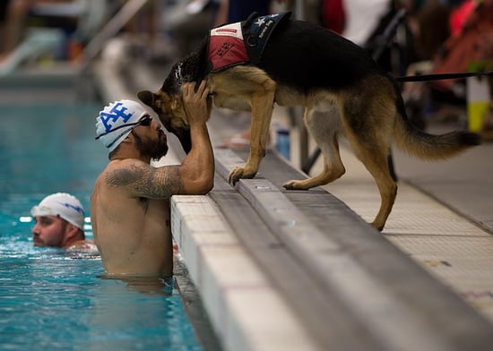 dog-659848_640.jpg
