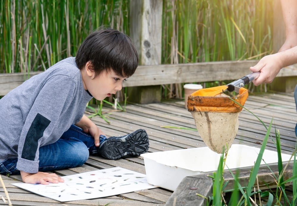 How to Get Your Kids Involved in Water Quality Month