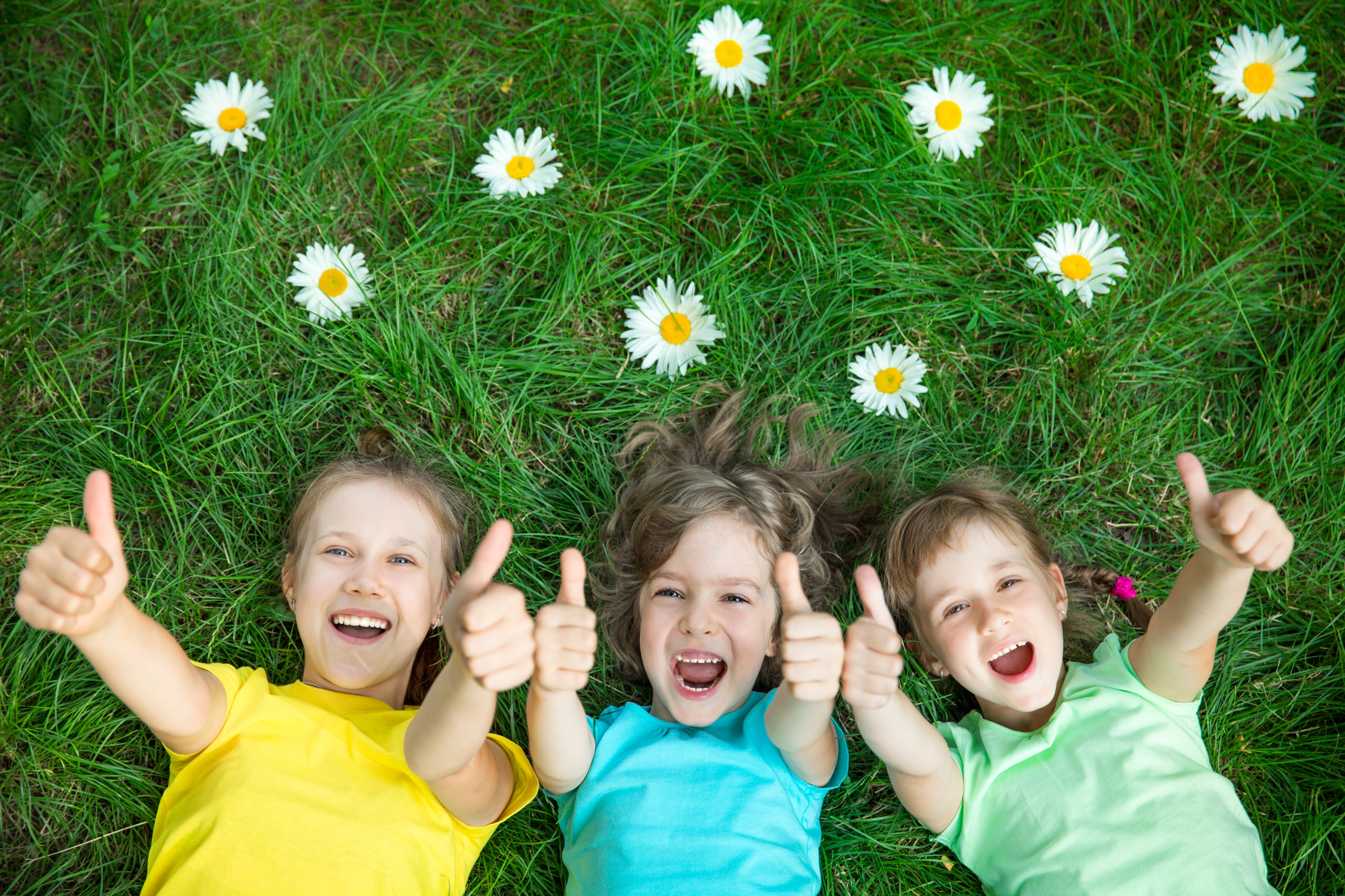 Spring Has Sprung! 18 Fun Spring Facts for Kids